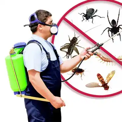 pest control Leitersburg